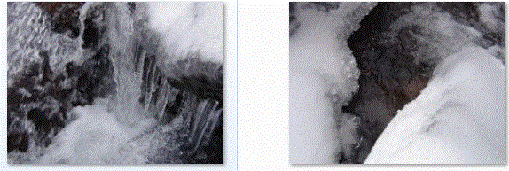 f0231709_22344398.gif