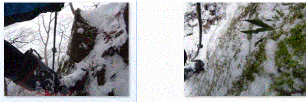 f0231709_22455057.gif