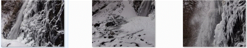 f0231709_2262921.gif