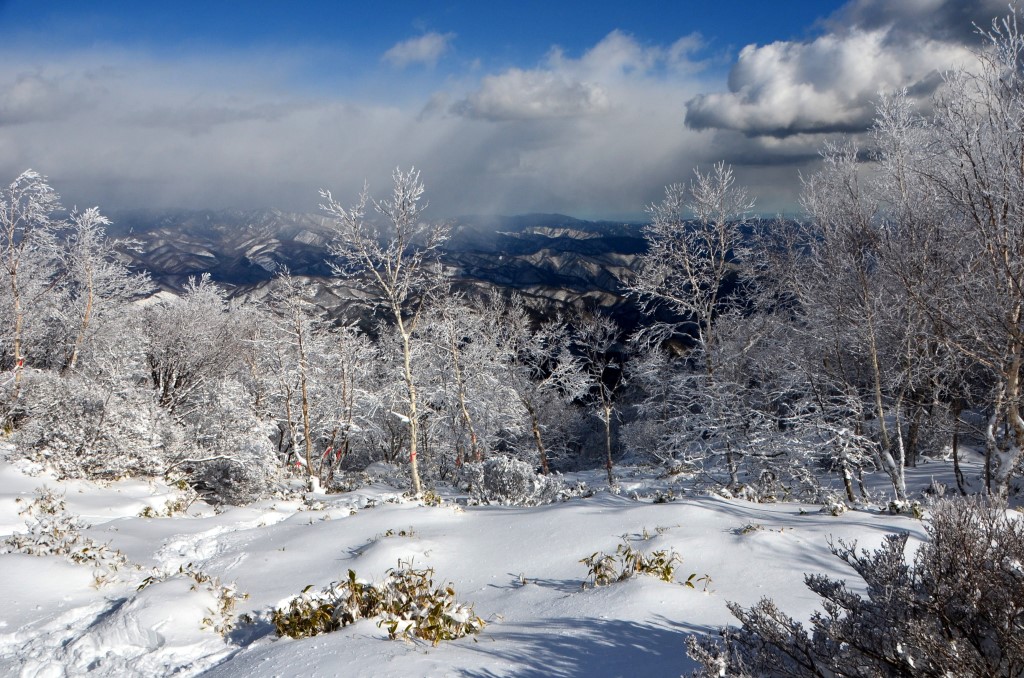 2016/1/19 黒檜山_a0340812_2072430.jpg