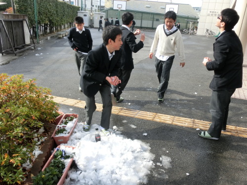 久しぶりの雪ですね_b0328412_12160510.jpg