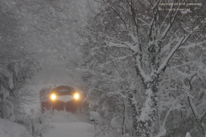 豪雪の朝に_d0309612_2339327.jpg