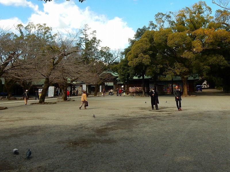 f0182513_2359427.jpg