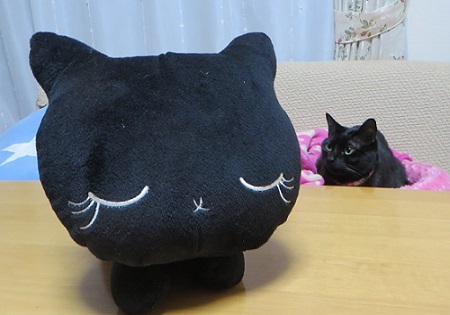 Amazon.co.jp: リアルシリーズ 日本製 リアルな猫のぬいぐるみ