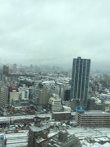 【雪景色の東京を見下ろす、空中のレストランで Vue du haut de Tokyo couvert de neige】_d0170823_18055215.jpg