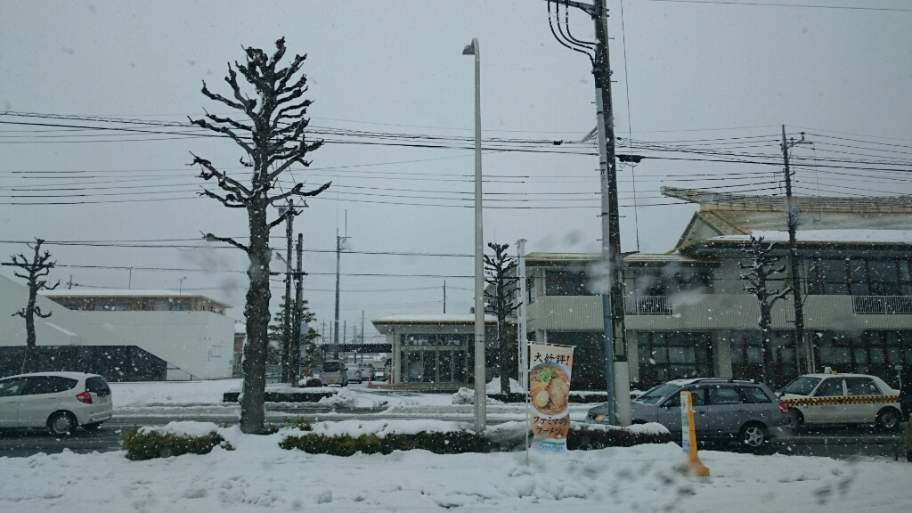 吹雪♪・その後_b0251624_19425285.jpg