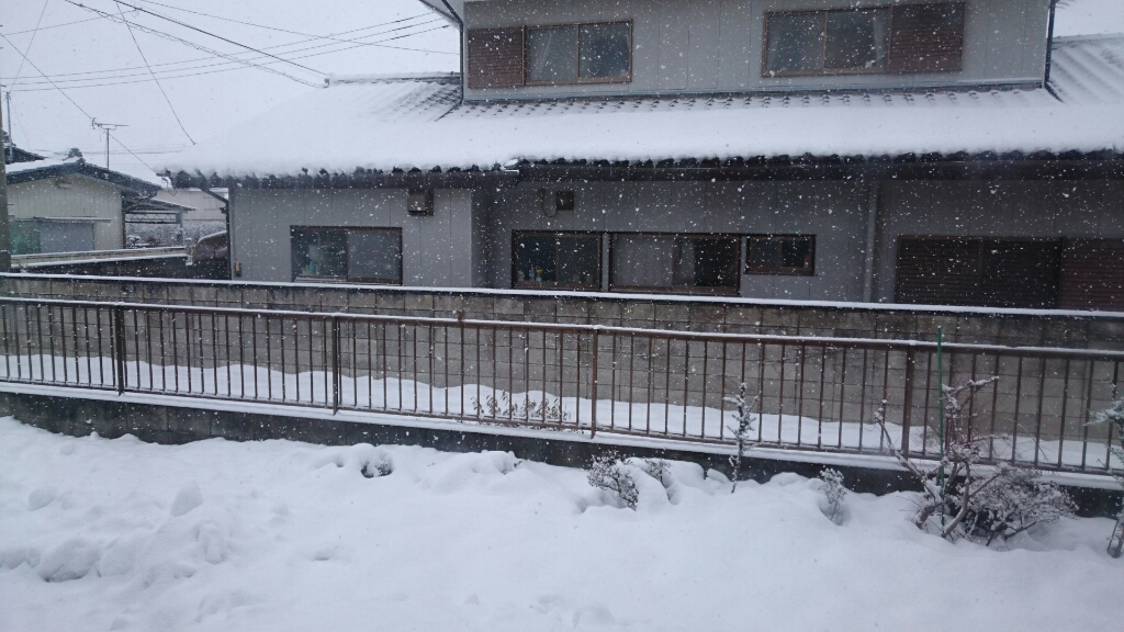 吹雪♪・その後_b0251624_19425897.jpg