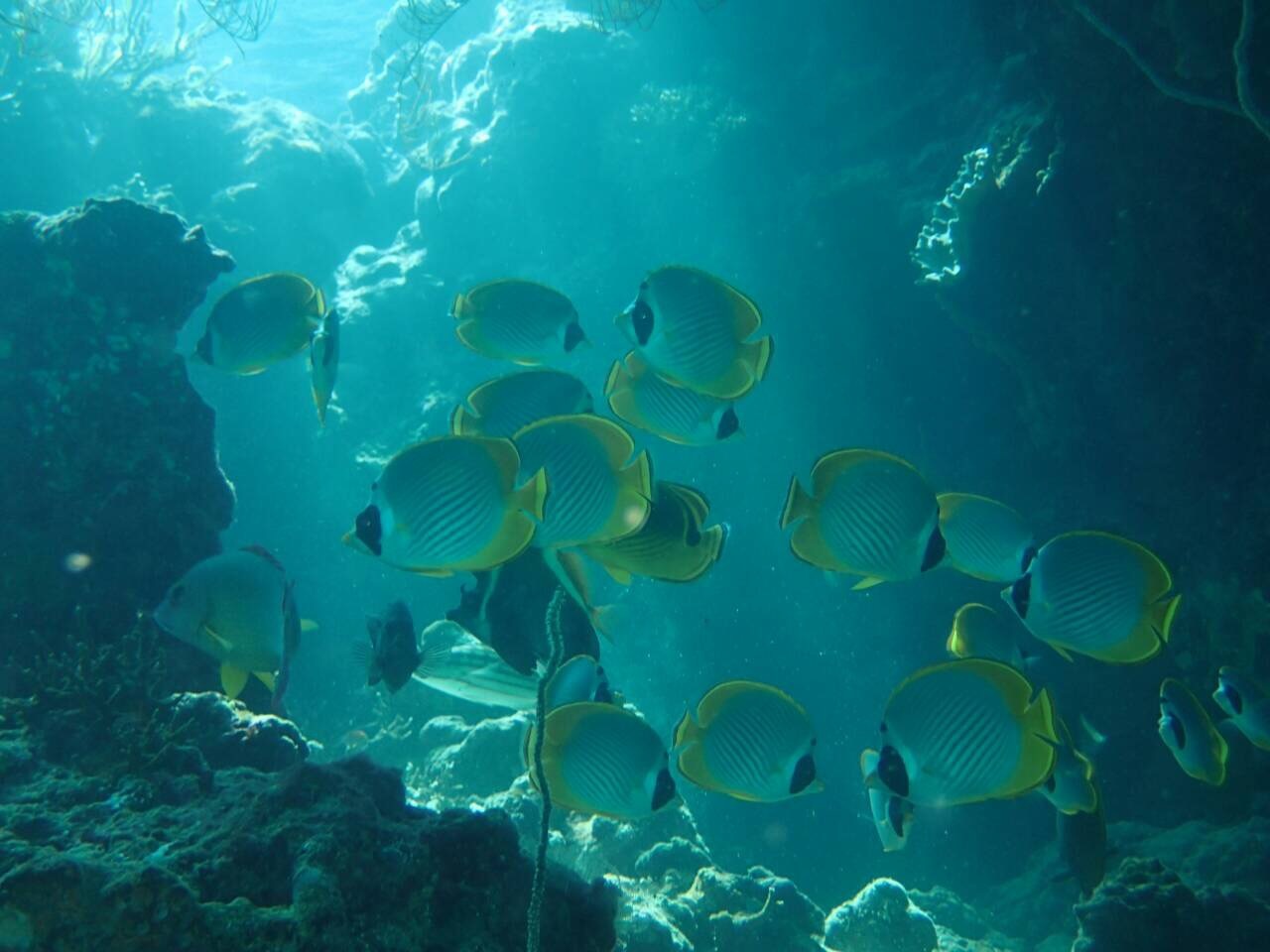 1月20日バリの海~~!_c0070933_21290536.jpg