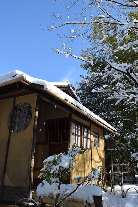 雪景色★日本庭園「有楽苑」や国宝「犬山城」が真っ白！_a0134734_135138100.jpg