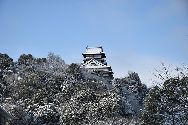 雪景色★日本庭園「有楽苑」や国宝「犬山城」が真っ白！_a0134734_13515778.jpg