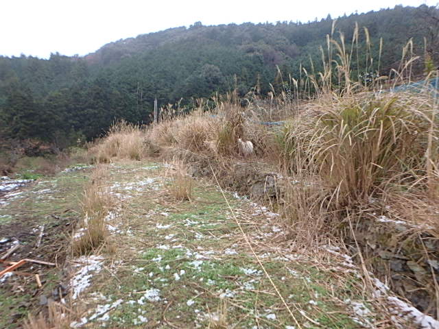 c0183137_17461075.jpg