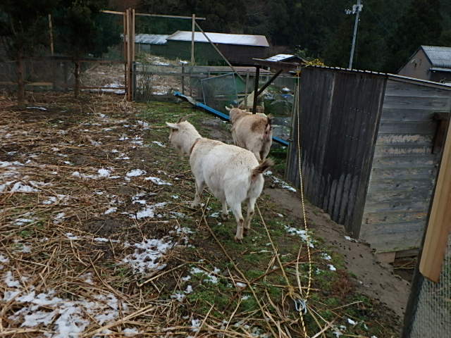 c0183137_17475476.jpg