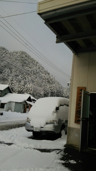 初雪_a0272042_12343523.jpg