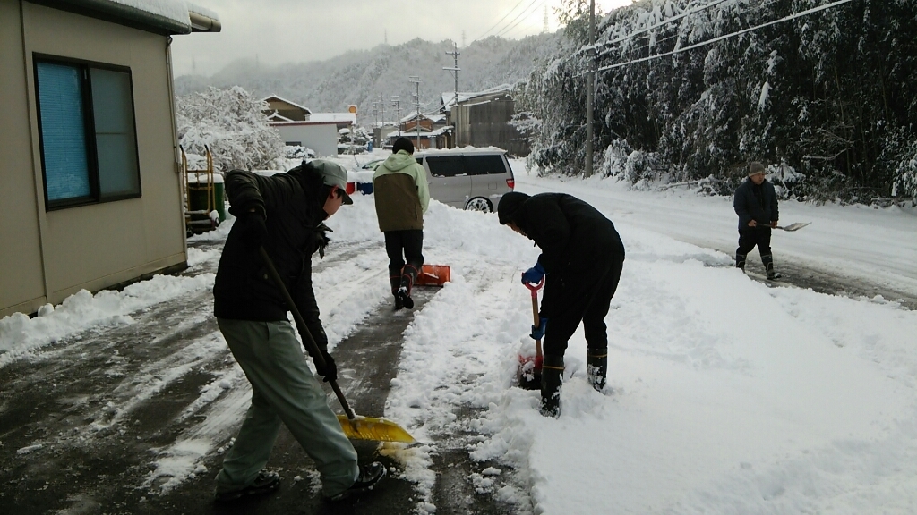 初雪_a0272042_12343813.jpg
