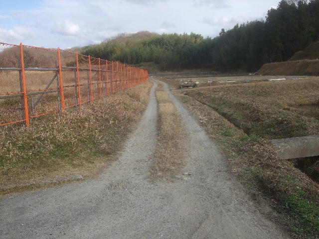 e0085845_16151126.jpg