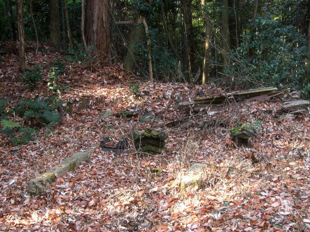 e0085845_16184653.jpg