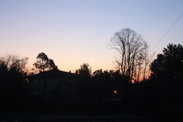 a0166650_20480737.jpg