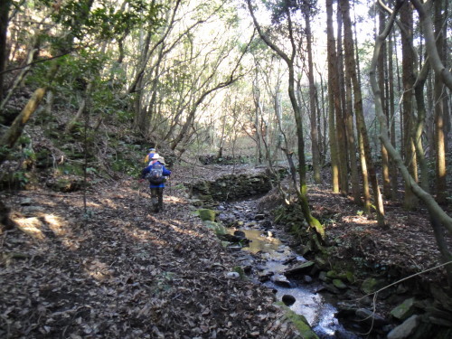 c0179351_22331310.jpg