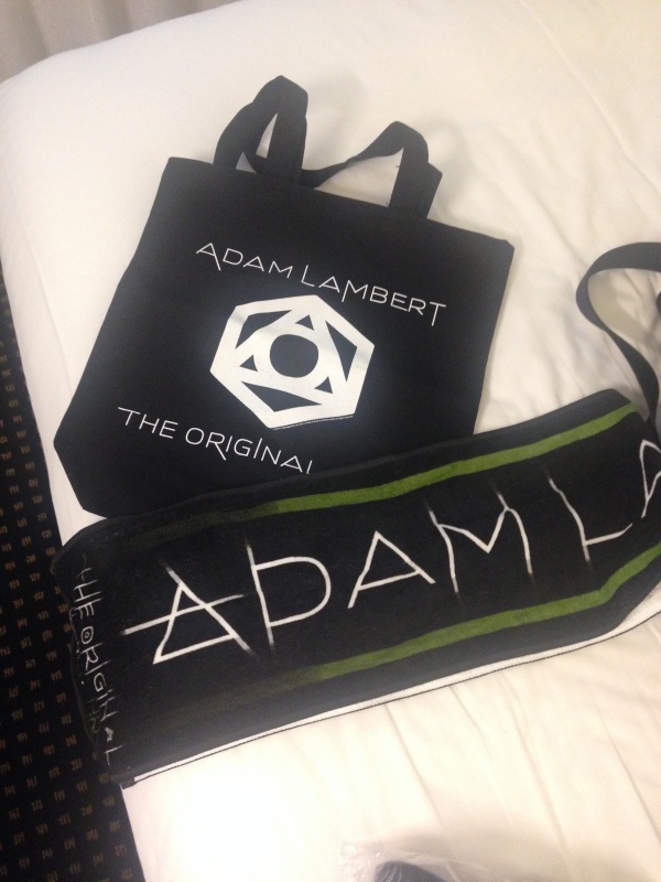 Adam Lambert Japan Tour_e0233555_21545084.jpeg