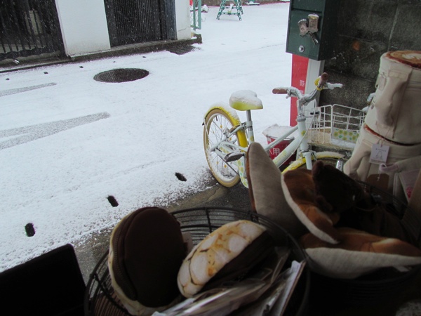 今日、京都は雪＆マスクが入荷しました_f0129557_16113618.jpg