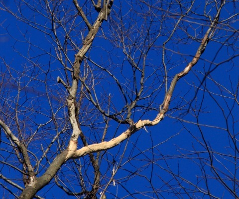a0248459_19551790.jpg