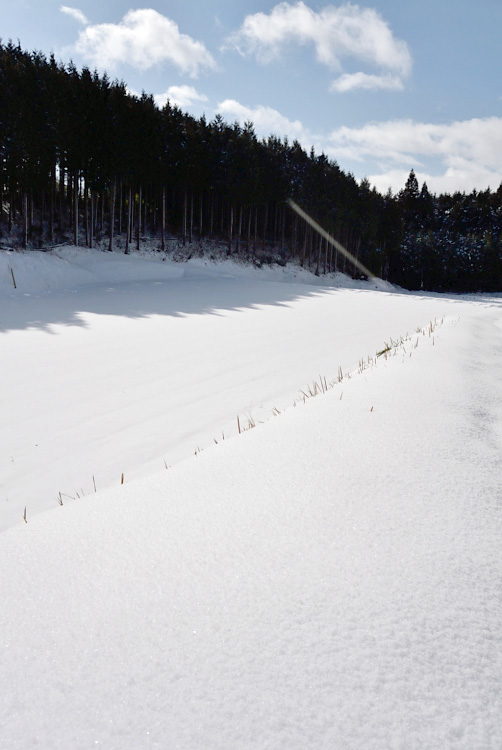 久々の大雪_d0231263_23345329.jpg