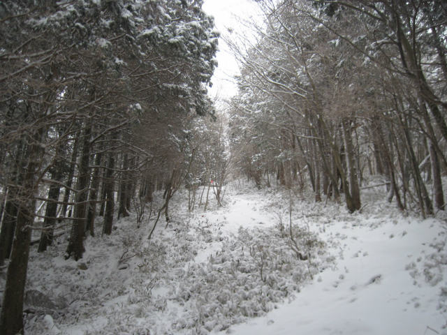 c0219866_1846457.jpg