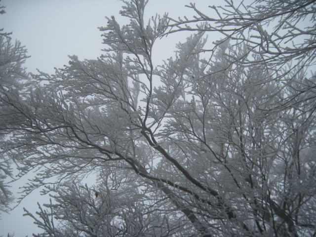c0219866_18543645.jpg