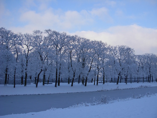 お掘の雪景色　２_e0357367_3393569.jpg