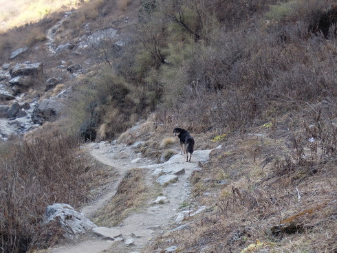 a0207588_20134325.jpg