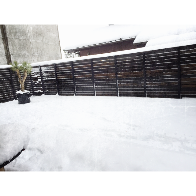 d0095590_15531879.png