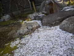a0088892_9562462.jpg