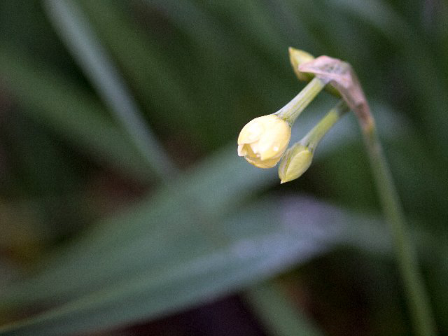 c0008502_22212728.jpg