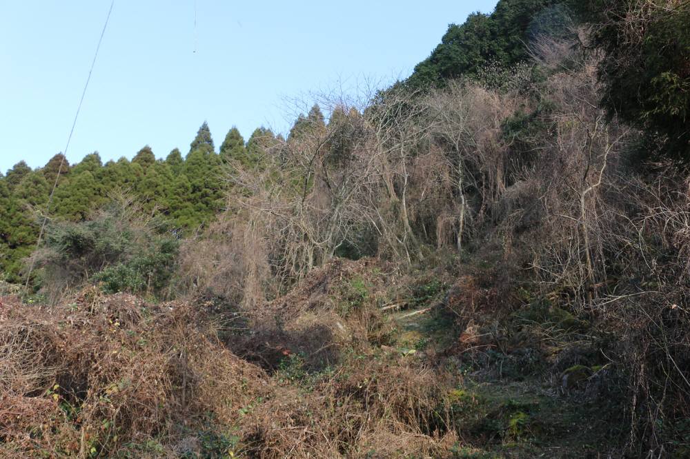 f0212511_23551340.jpg