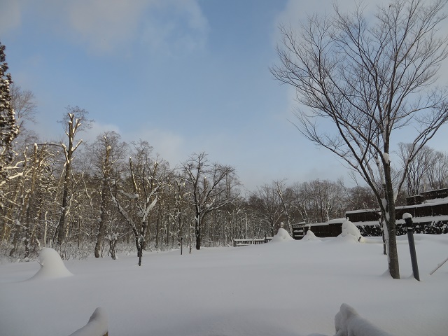 d0351213_19122910.jpg