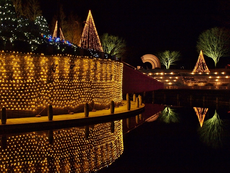 c0247614_8184343.jpg