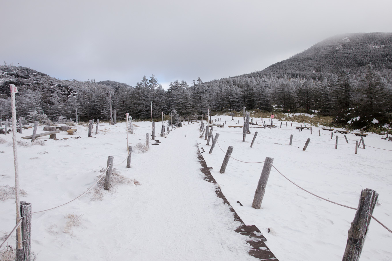 縞枯山～茶臼山_c0369219_21050875.jpg