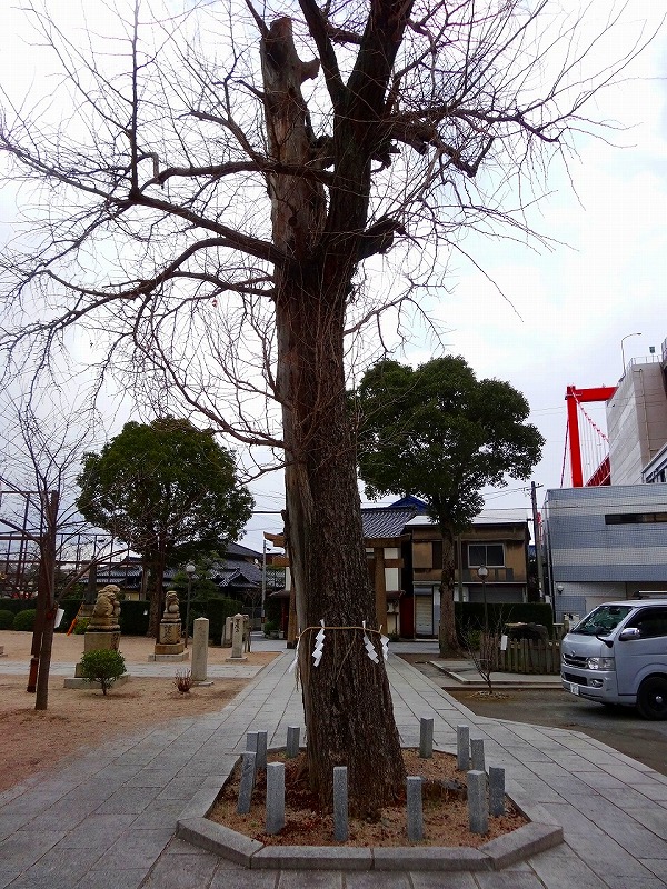 若松恵比須神社_f0174419_20321794.jpg