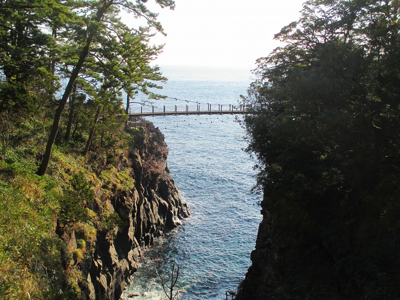 伊豆 城ヶ崎海岸でハイキング Jogasakikaigan In Fuji Hakone Izu National Park やっぱり自然が好き