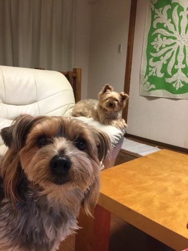a0134428_00271333.jpeg