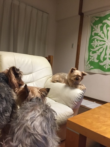 a0134428_00273654.jpeg