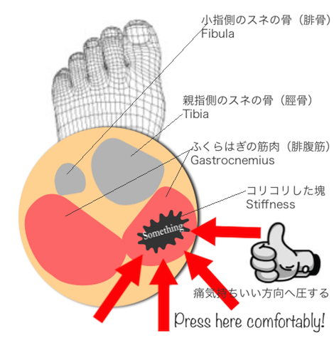 ふくらはぎを揉んではいけない いたいのいたいの飛んでけぇ