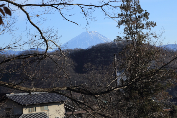 青春１８切符・甲州二人旅その５（武田神社）_f0229832_17485068.jpg