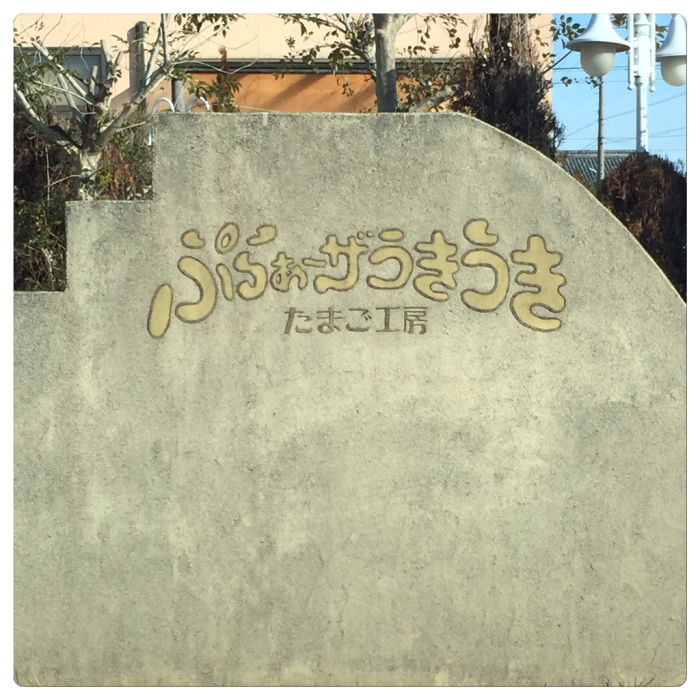 大寒たまご_c0170233_16320836.jpg