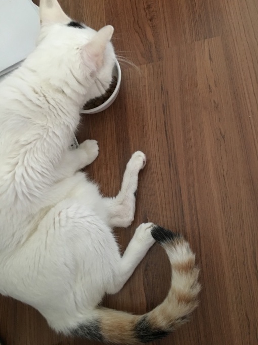 f0327233_19154295.jpeg