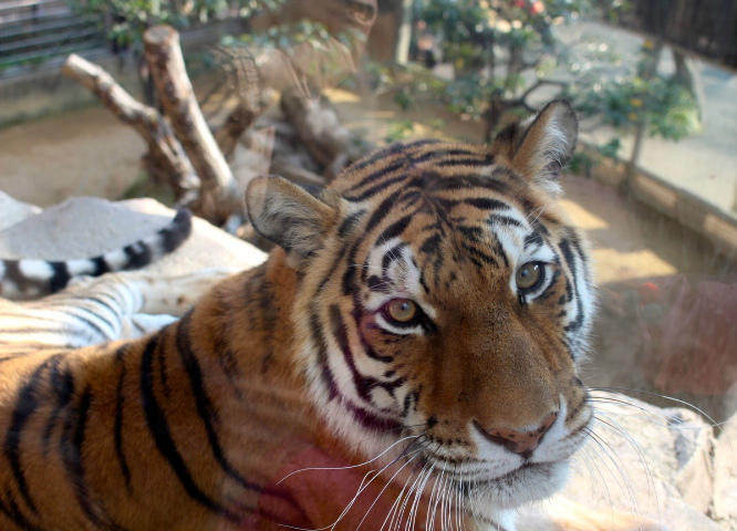 c0153740_2242132.jpg