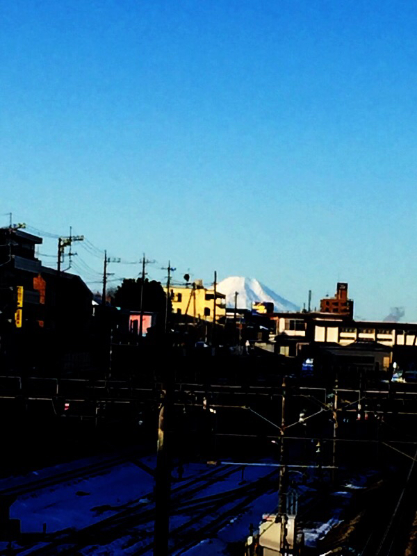 ◆1年経ちました_b0008655_17532872.jpg