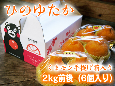 デコポン(肥後ポン) 「不知火」の収穫&樹上完熟デコポン「ひのゆたか」大好評発売中!!その2_a0254656_20323172.jpg