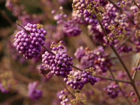 a0248459_16023042.jpg
