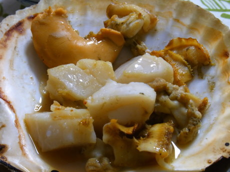ナメタガレイ 煮るか焼くか ダックと隊長 ナメタガレイ 煮るか焼くか ダックと隊長